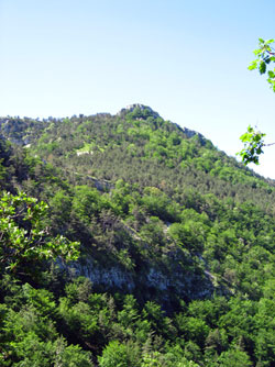 Bassegoda Bassegoda