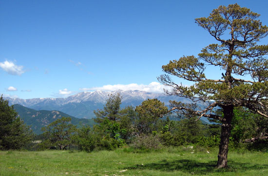 Canigó Canigó