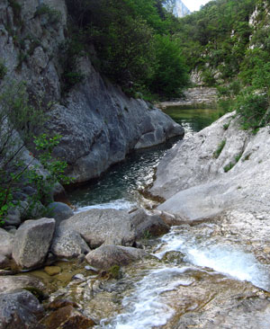 El Goleró El Goleró