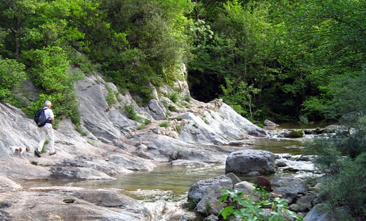 Riera de Sant Aniol Riera de Sant Aniol