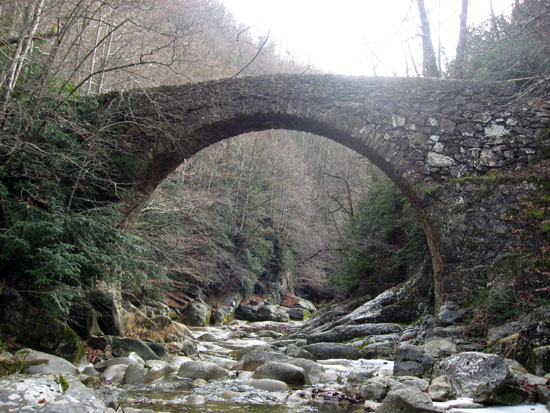 Pont de Salgueda Pont de Salgueda