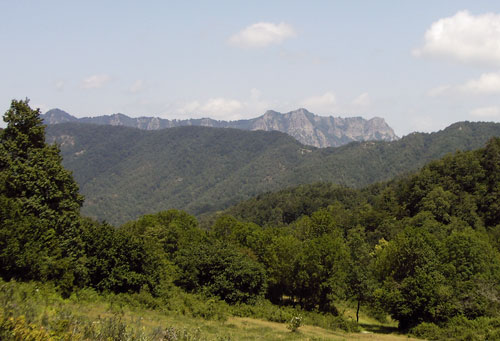 Puigsacalm