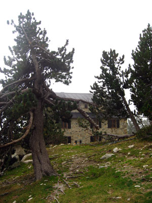 Refugi d'Ull de Ter
