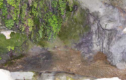 Font de la Roca Pastora