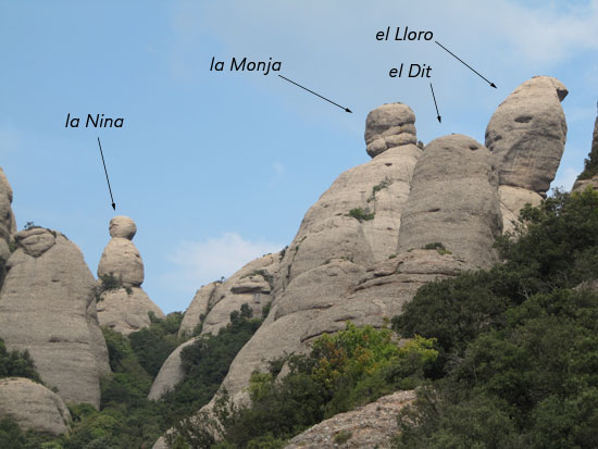 La Monja i el Lloro La Monja i el Lloro