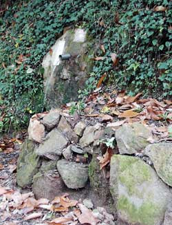Font del Verder