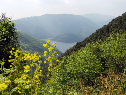 Pantà de Susqueda Pantà de Susqueda