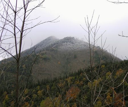 Sant Miquel de Solterra o de les Formigues Sant Miquel de Solterra o de les Formigues