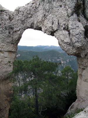 Arc geotectònic Arc geotectònic