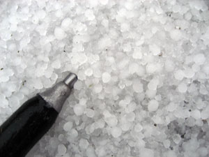 Calamarsa Calamarsa