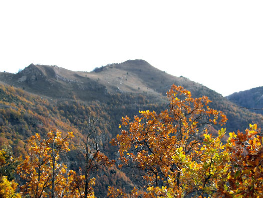 Pic de les Bruixes Pic de les Bruixes