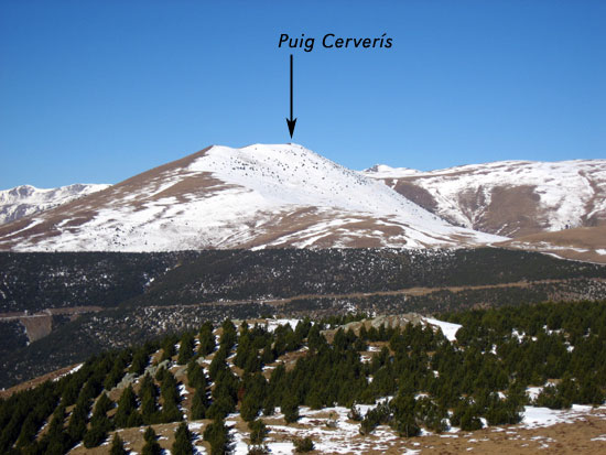Puig Cerverís