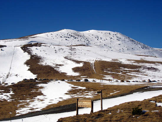 Puig Cerverís
