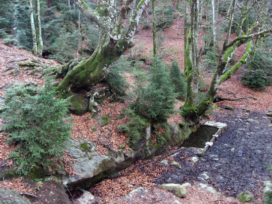 Font Tornadissa Font Tornadissa