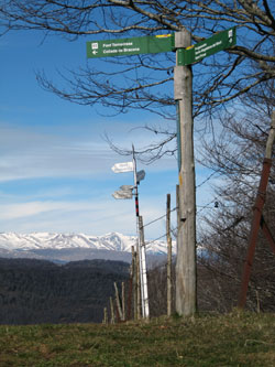 Rasos de Manter amb el Pirineu al fons Rasos de Manter amb el Pirineu al fons