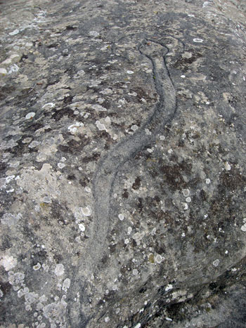 Petròglif Petròglif