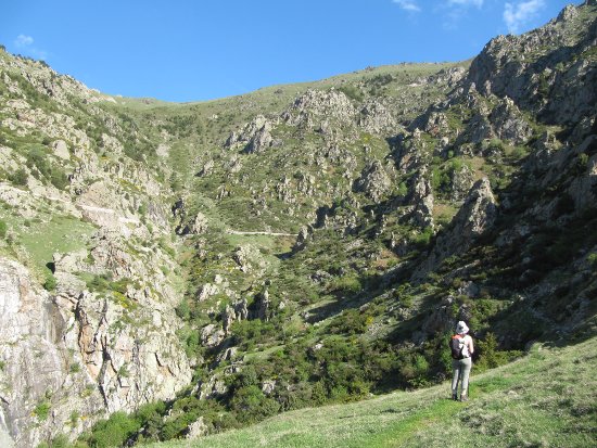 Vista de la pujada fins el camí dels Enginyers Vista de la pujada fins el camí dels Enginyers