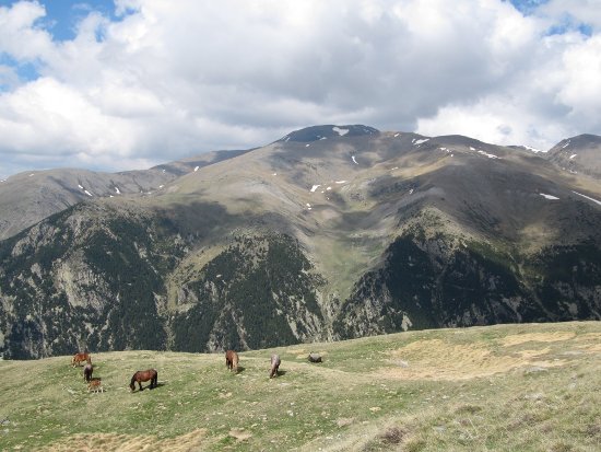 Vista del Puigmal Vista del Puigmal